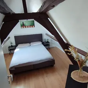 The 16th Century Duplex In The City Center Appartement